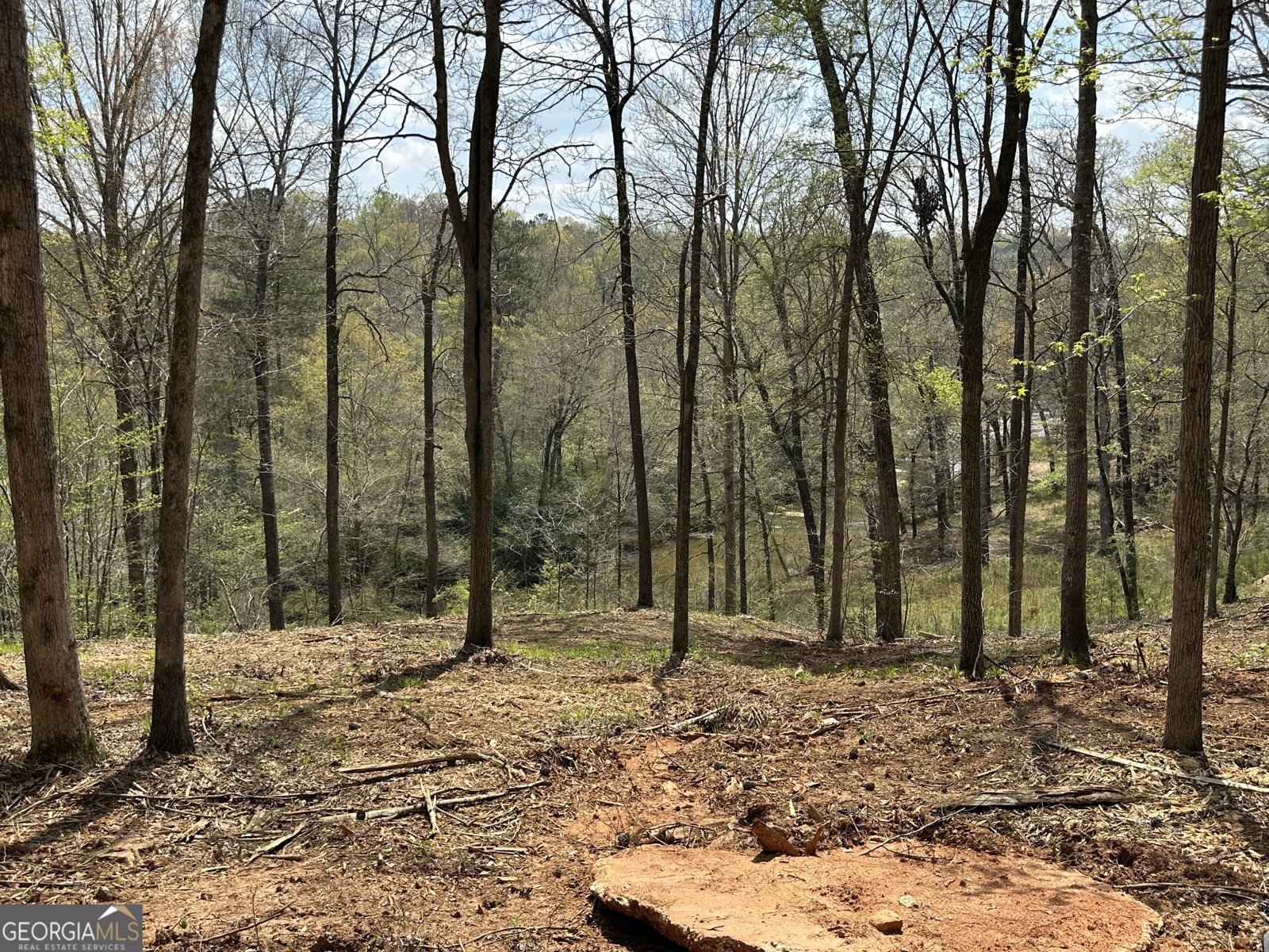 607 Forest Pointe Drive Forsyth - Photo 36