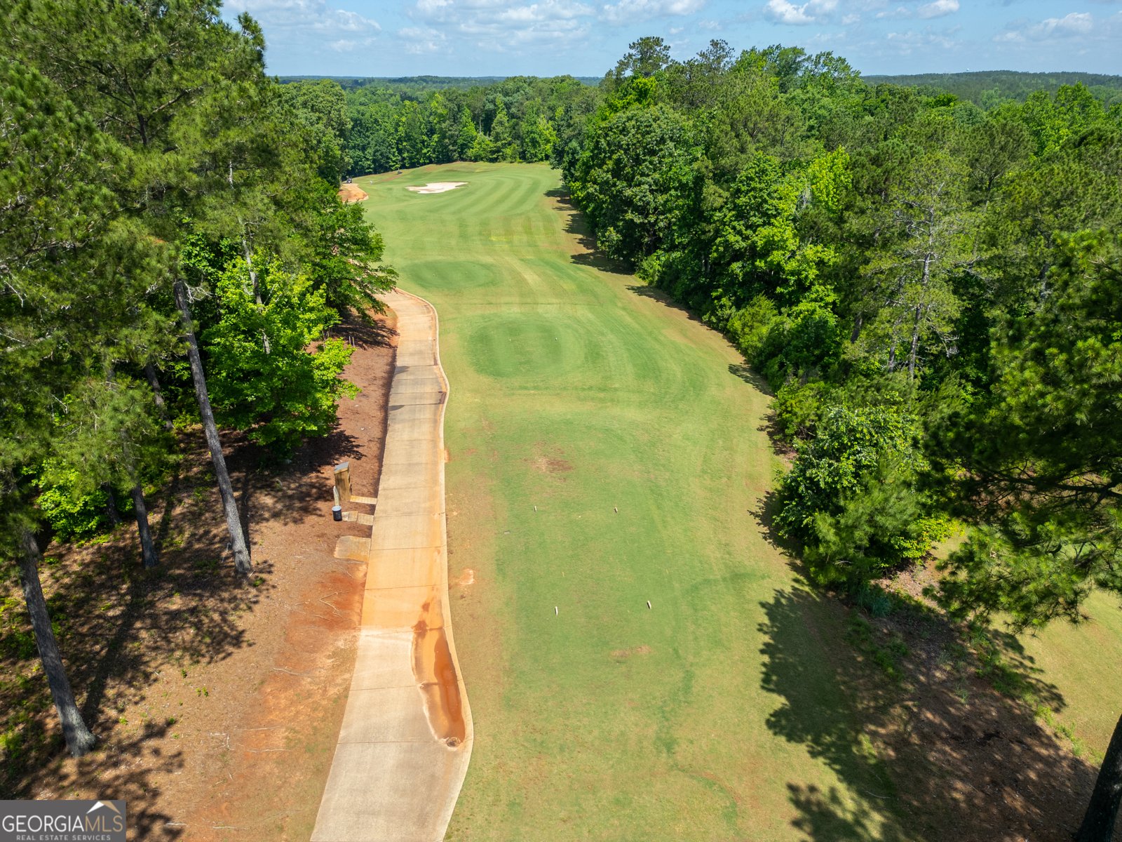 607 Forest Pointe Drive Forsyth - Photo 44