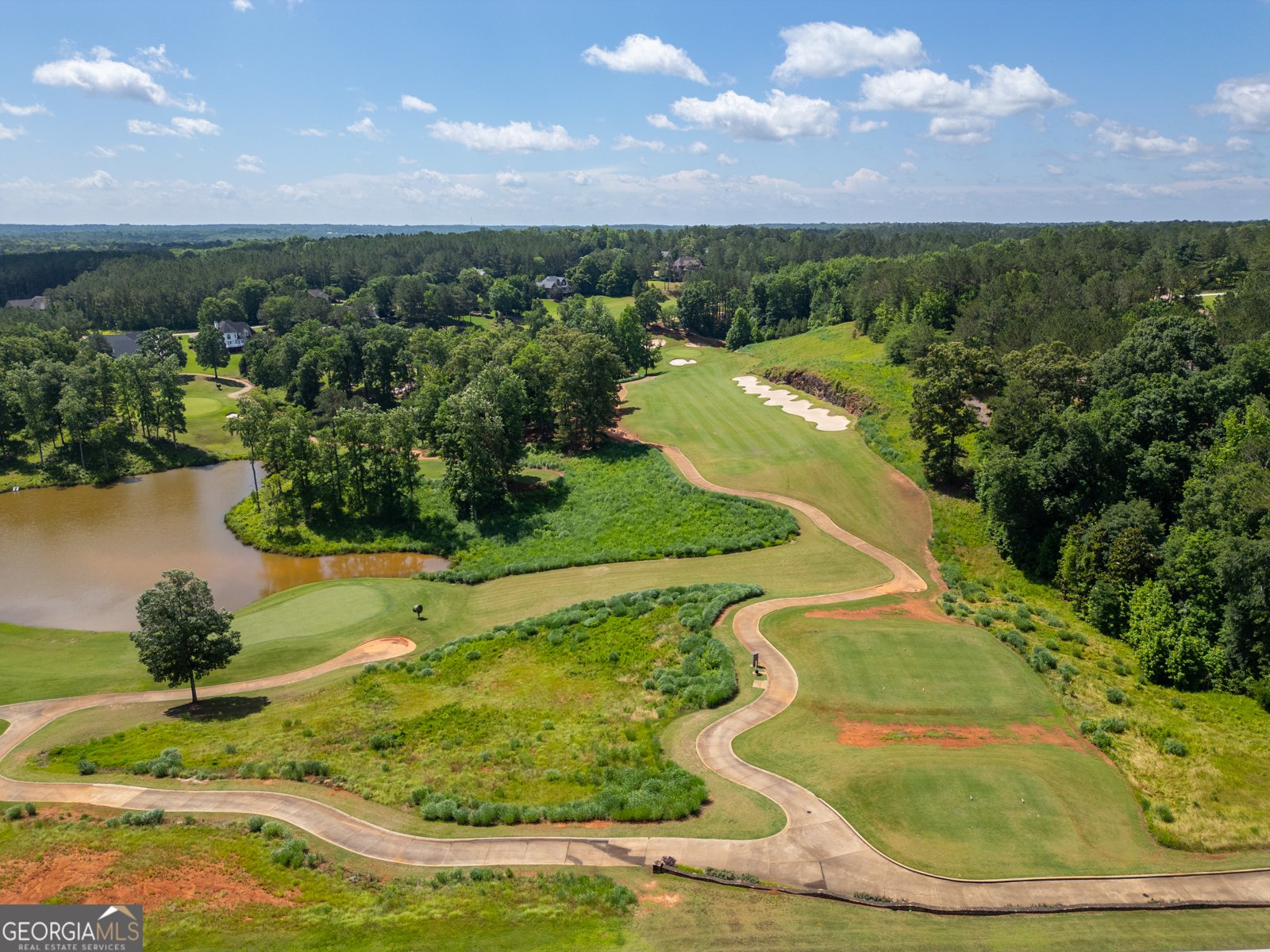607 Forest Pointe Drive Forsyth - Photo 45