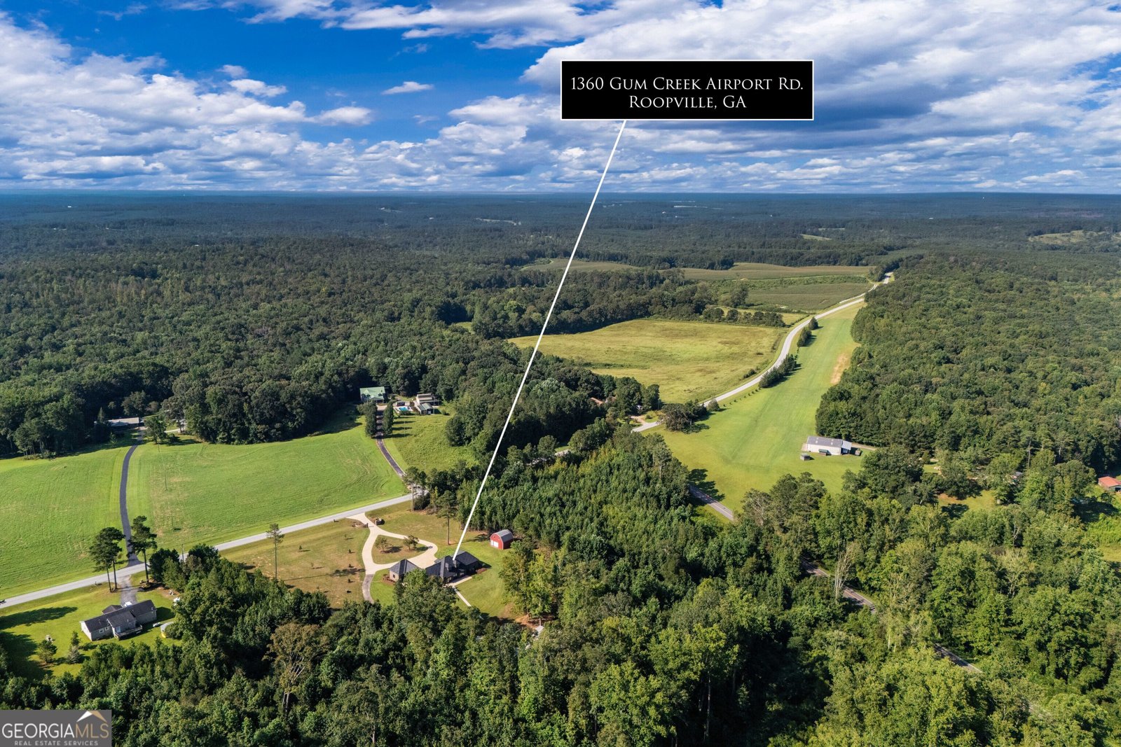 1360 Gum Creek Airport Road Roopville - Photo 6