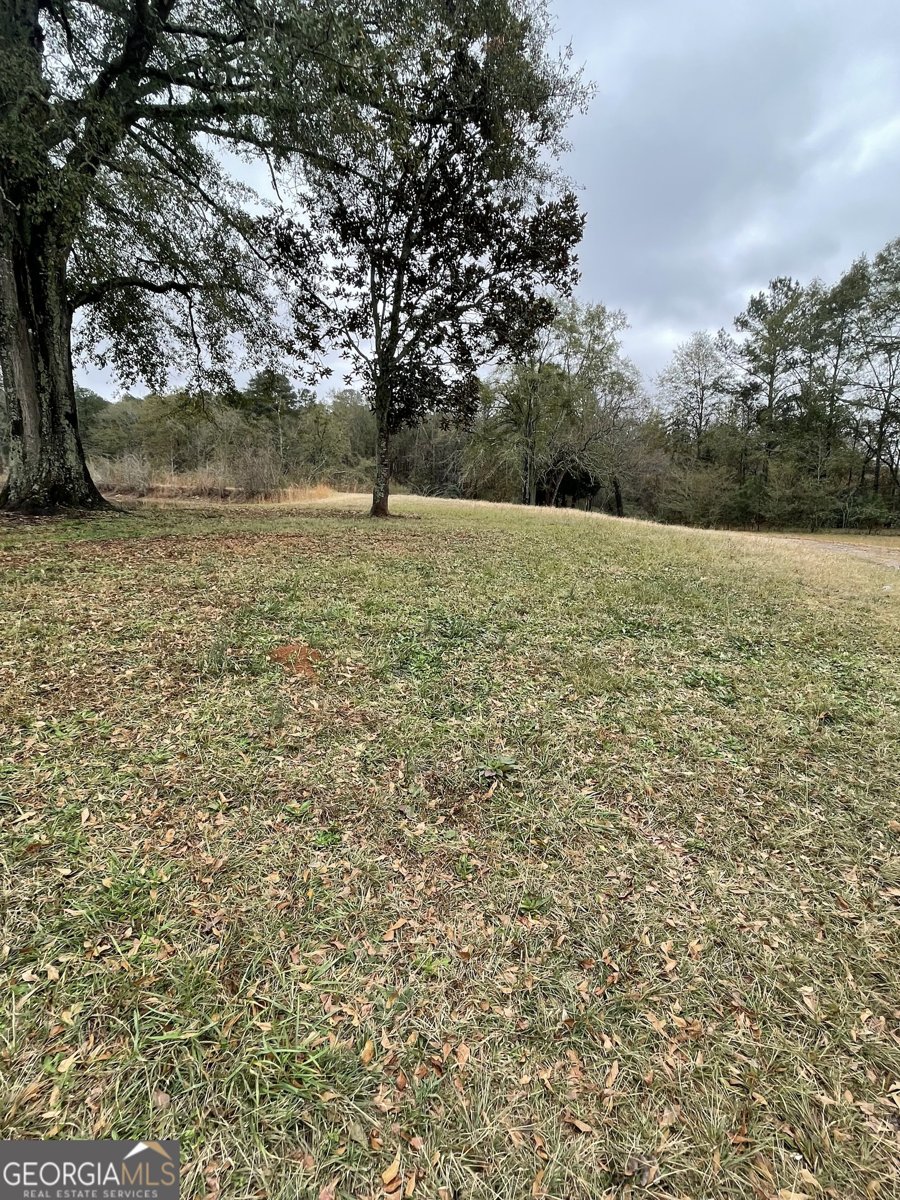 443 Rivers Road Griffin - Photo 15