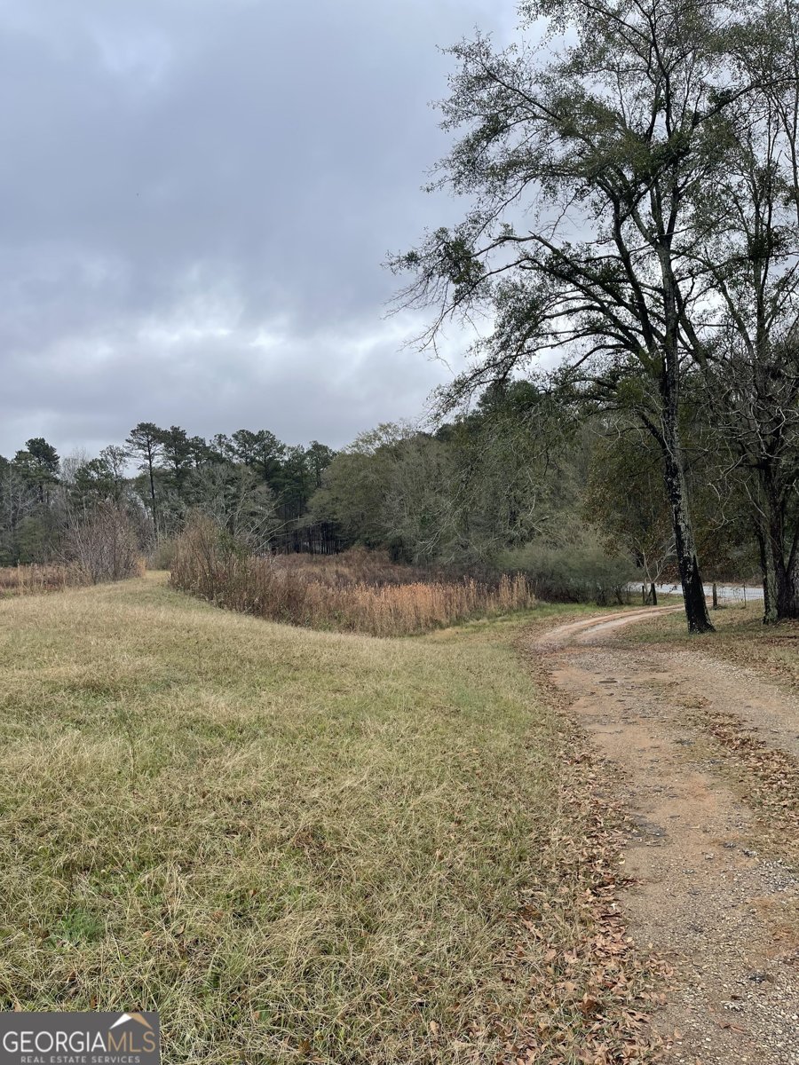 443 Rivers Road Griffin - Photo 9