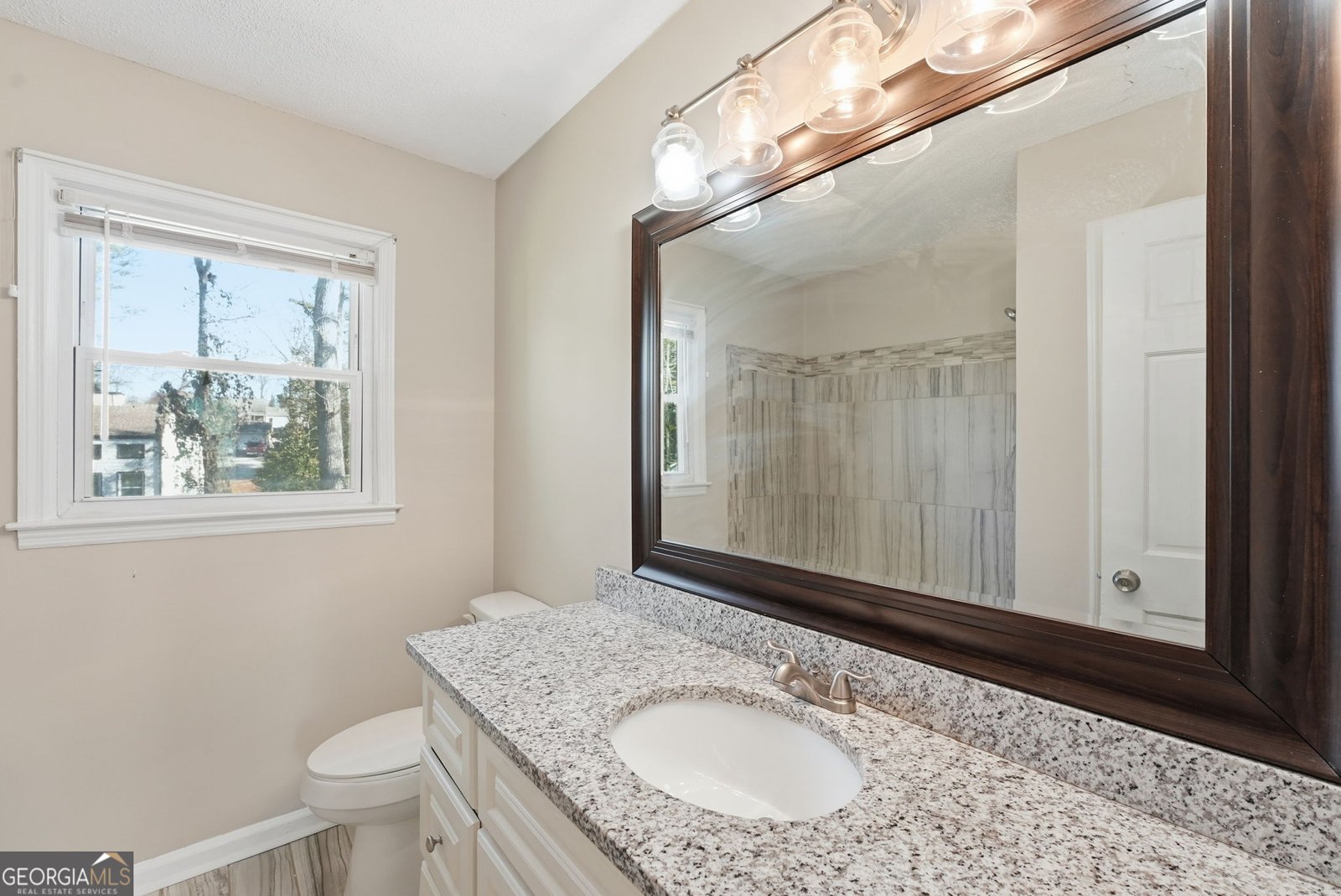 2328 Horseshoe Bend Road Marietta - 19