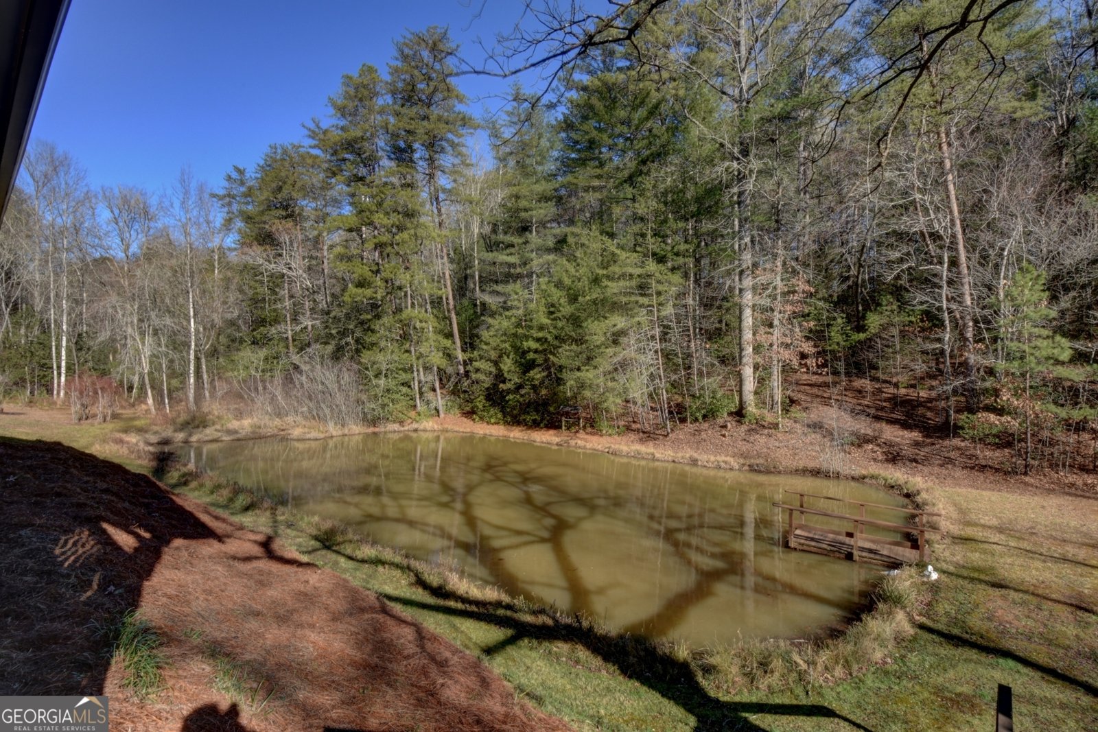 100 Saga Mountain Road Tiger - Photo 26