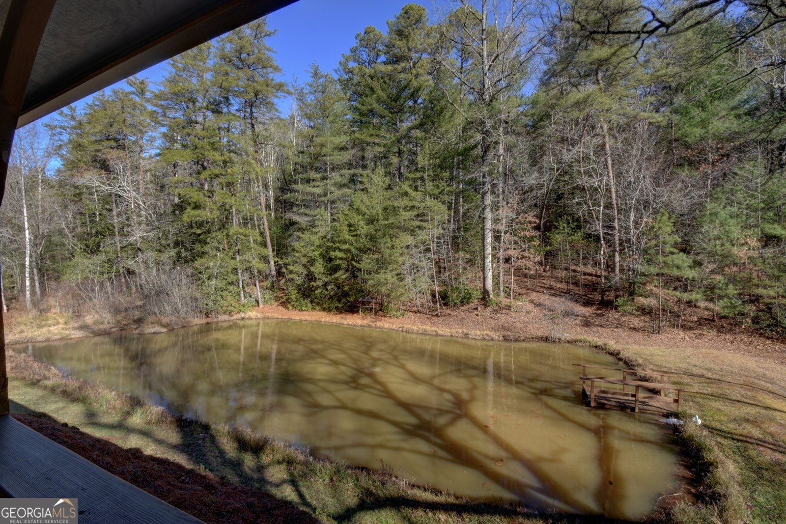 100 Saga Mountain Road Tiger - Photo 52