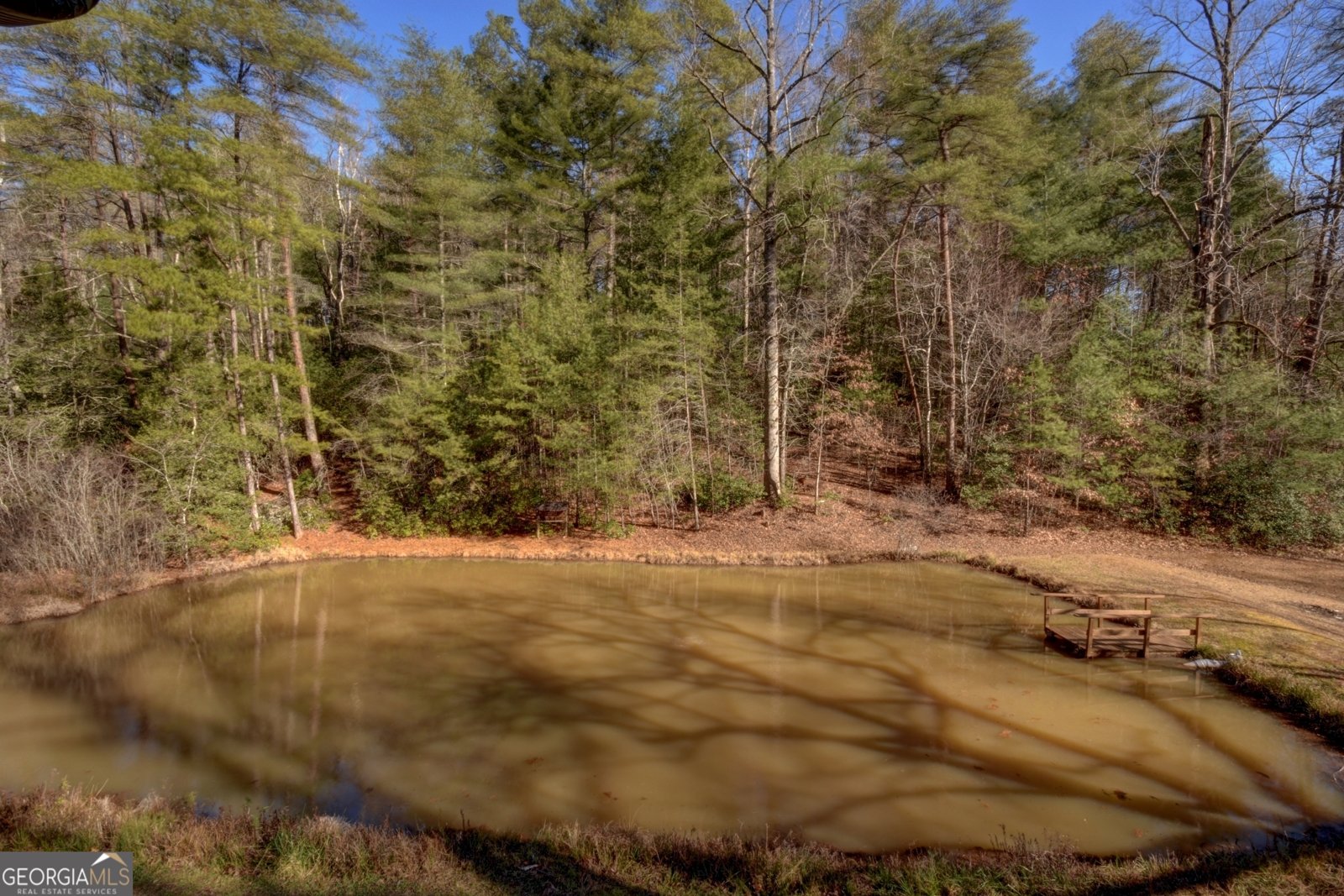 100 Saga Mountain Road Tiger - Photo 56