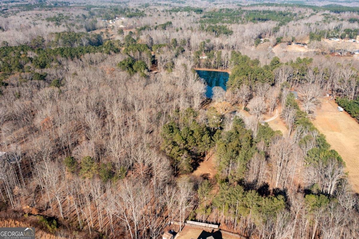 8277 Buchanan Highway Dallas - Photo 35