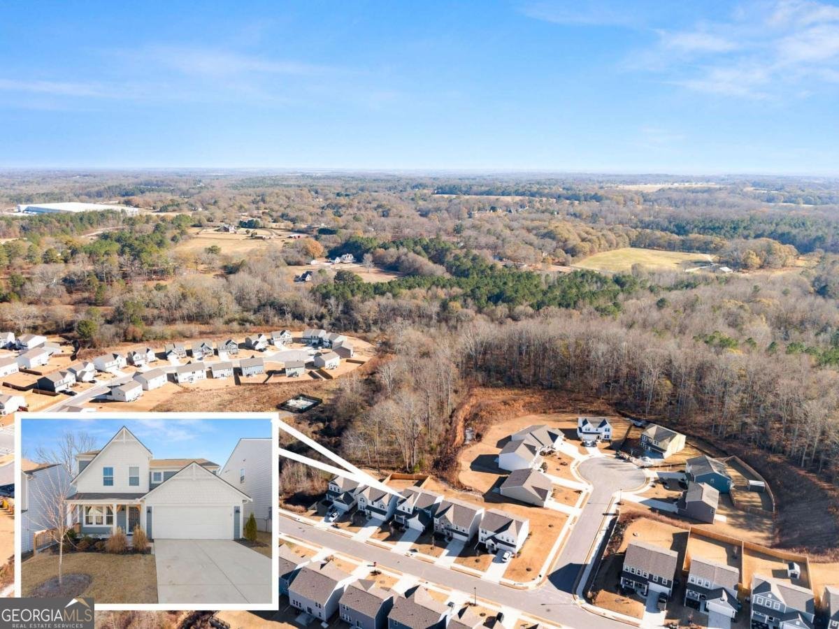 329 Traminer Way Braselton - 46