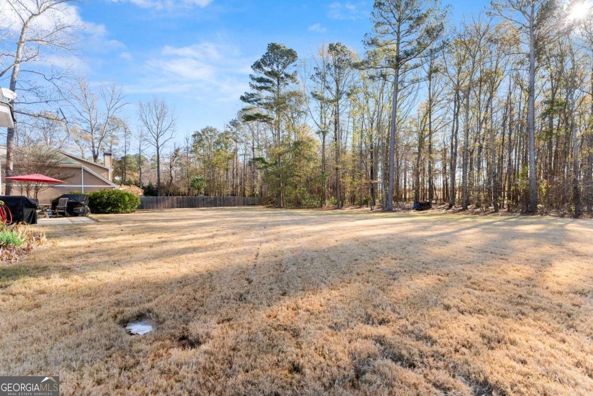 725 Larry Lane Winder - 47