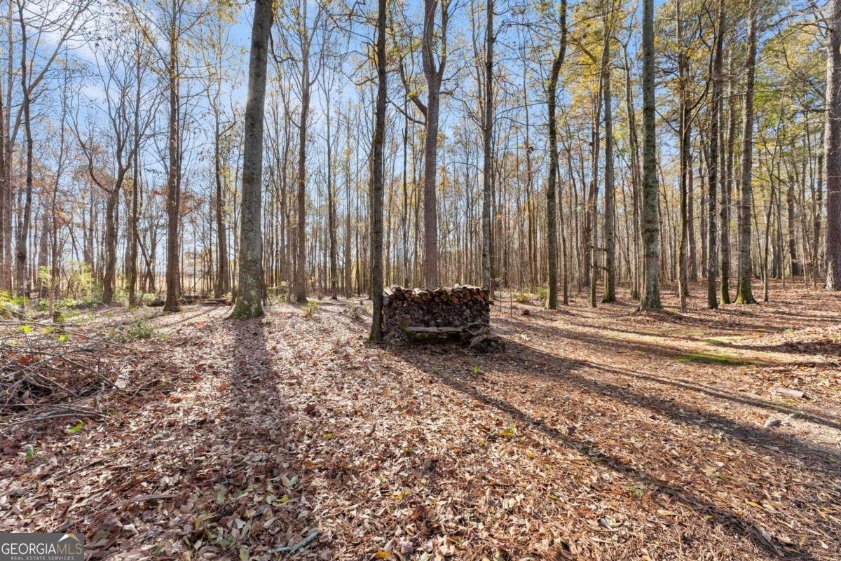 725 Larry Lane Winder - 52