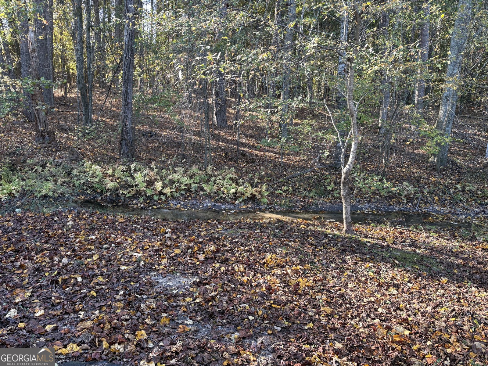 2700 Woodward Road South Fulton - Photo 12