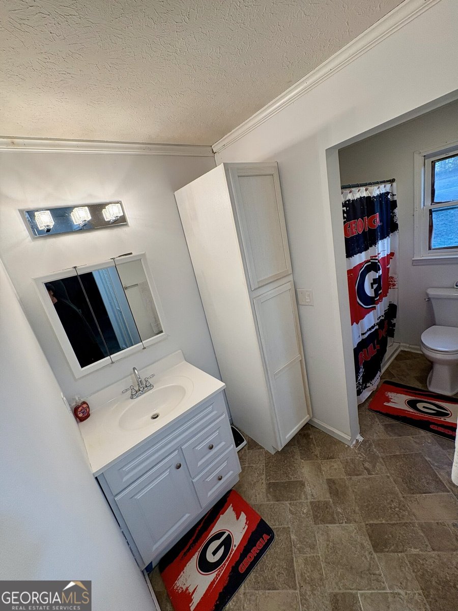 781 Thomas Street Roopville - Photo 17