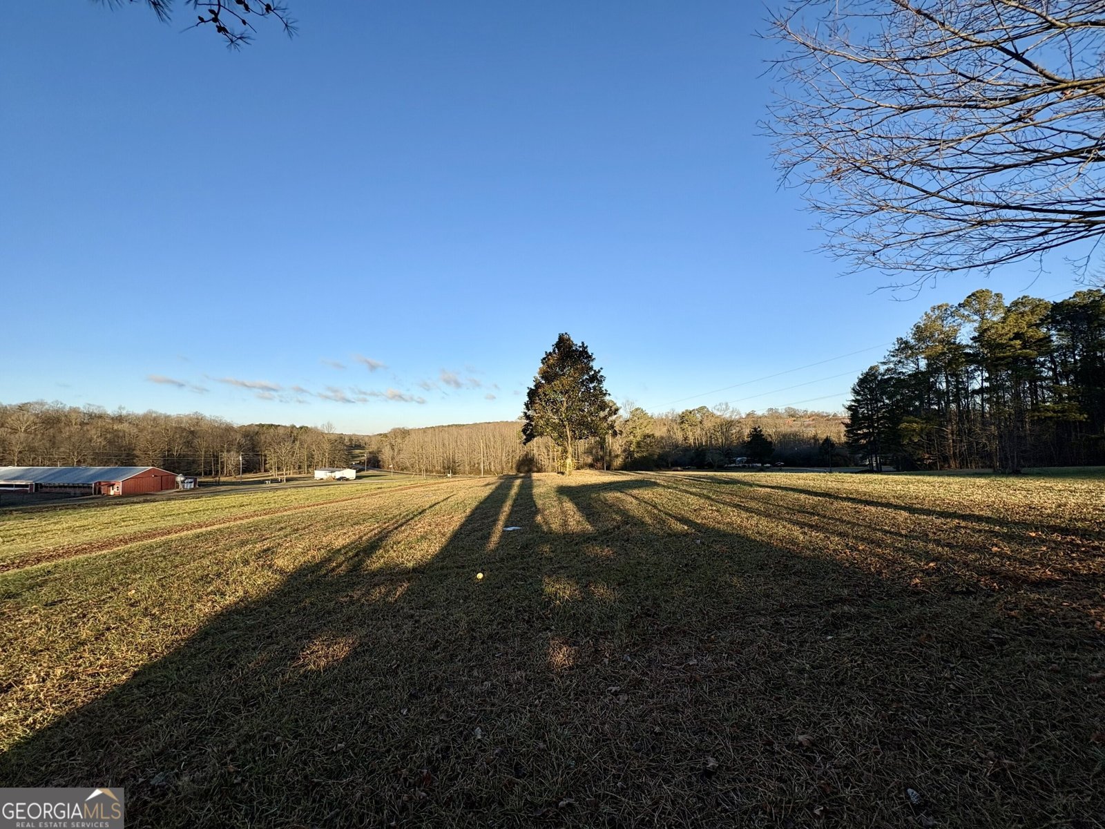 781 Thomas Street Roopville - Photo 29