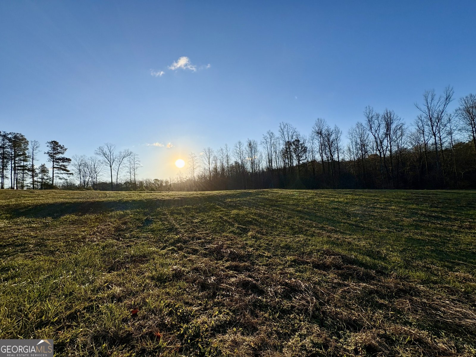 781 Thomas Street Roopville - Photo 30