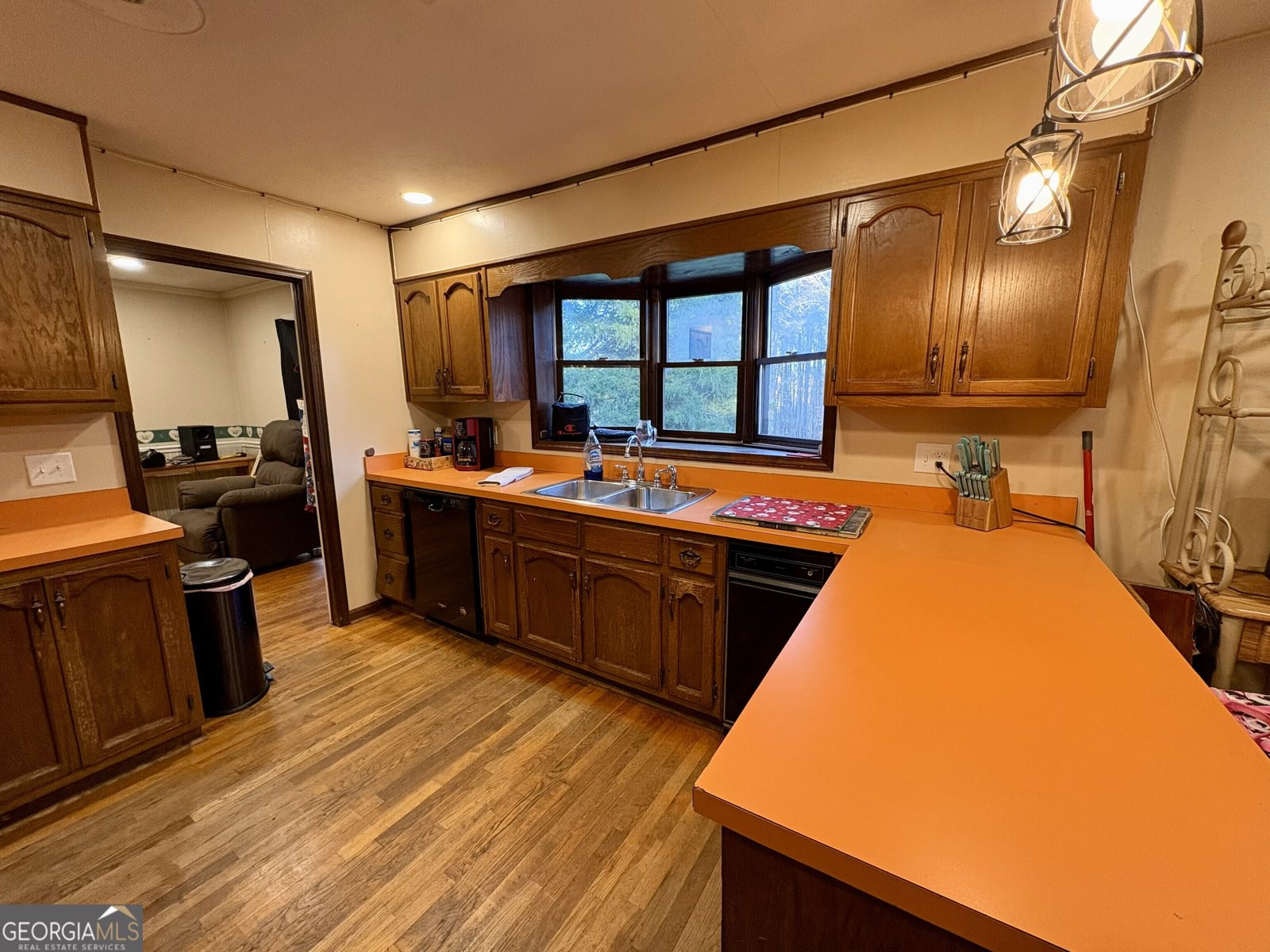 781 Thomas Street Roopville - Photo 6