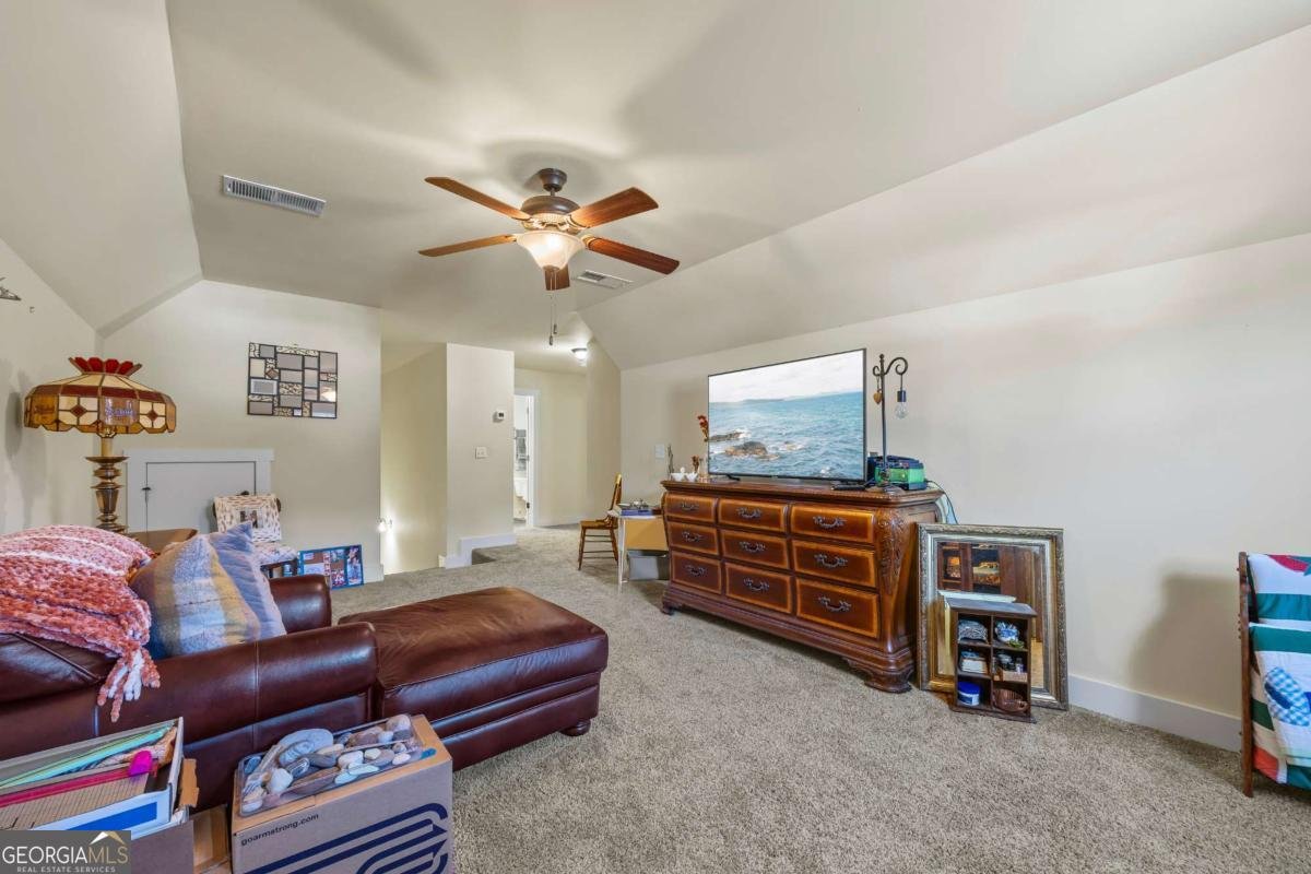 393 Old Good Hope Road Good Hope - Photo 29