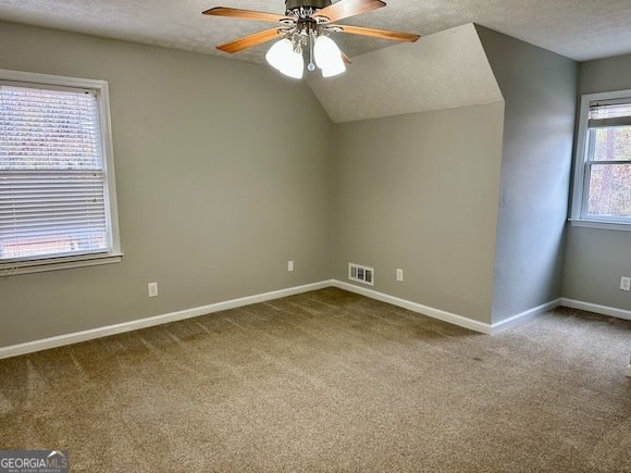 374 Williamsburg Circle McDonough - Photo 30