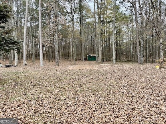 374 Williamsburg Circle McDonough - Photo 46