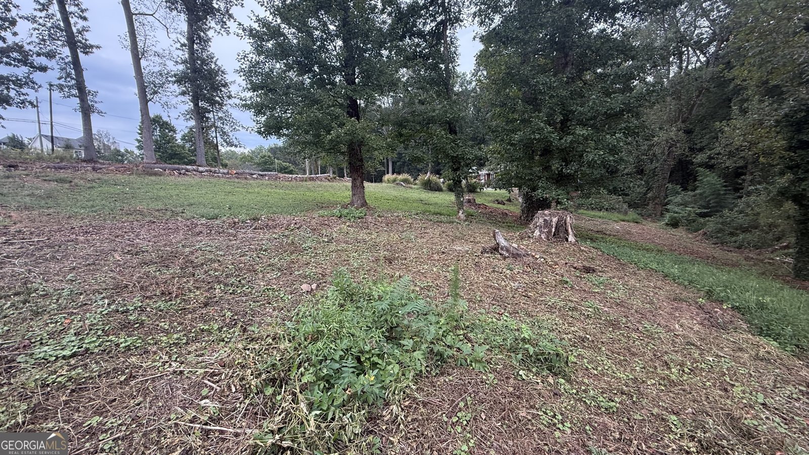 5165 Thompson Mill Road Lithonia - Photo 12