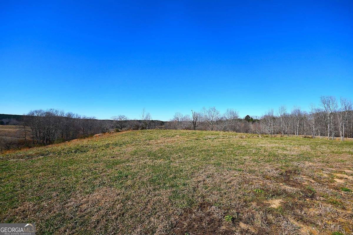 703 Addison Road Buchanan - Photo 34