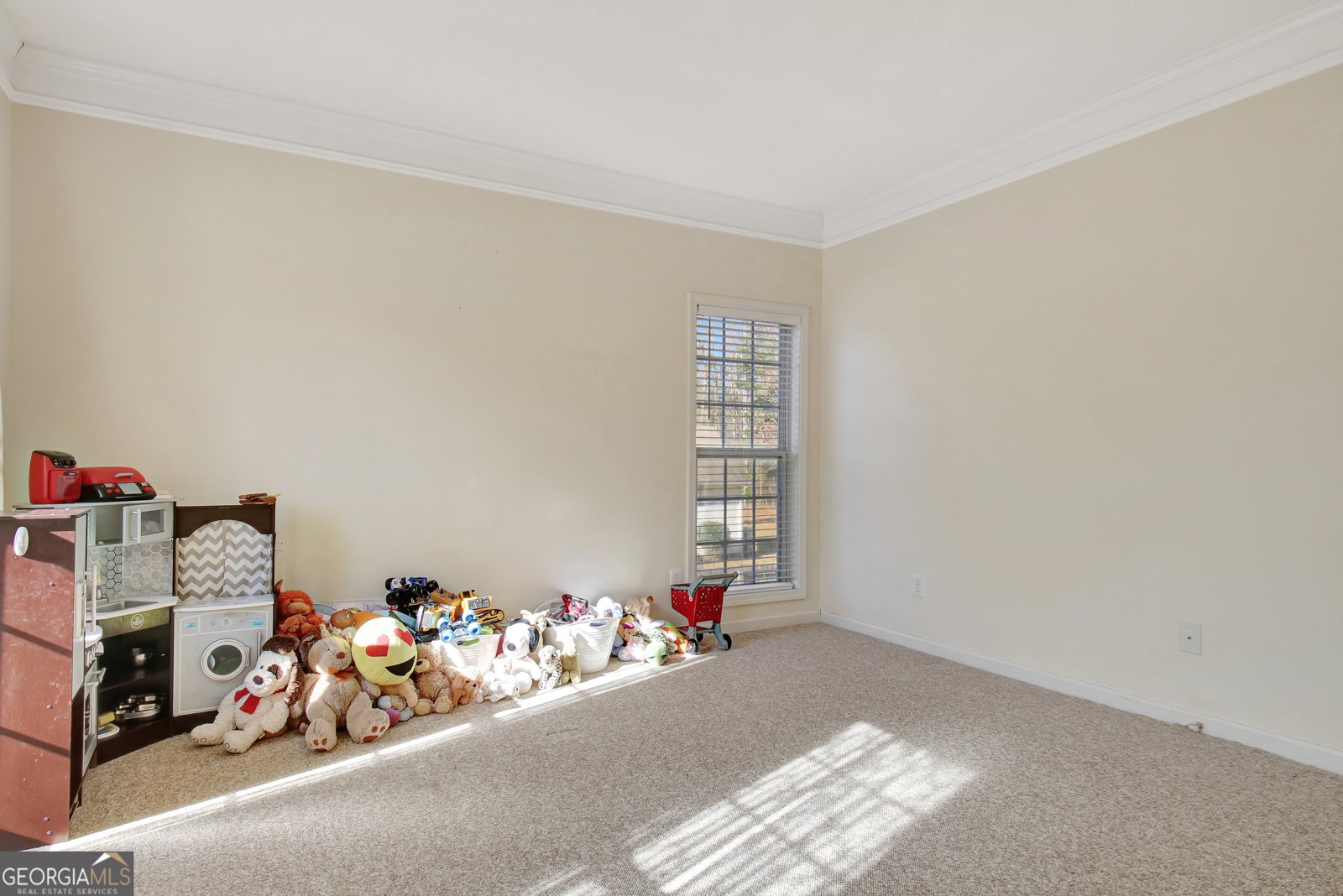 345 Gaelic Way Tyrone - Photo 10