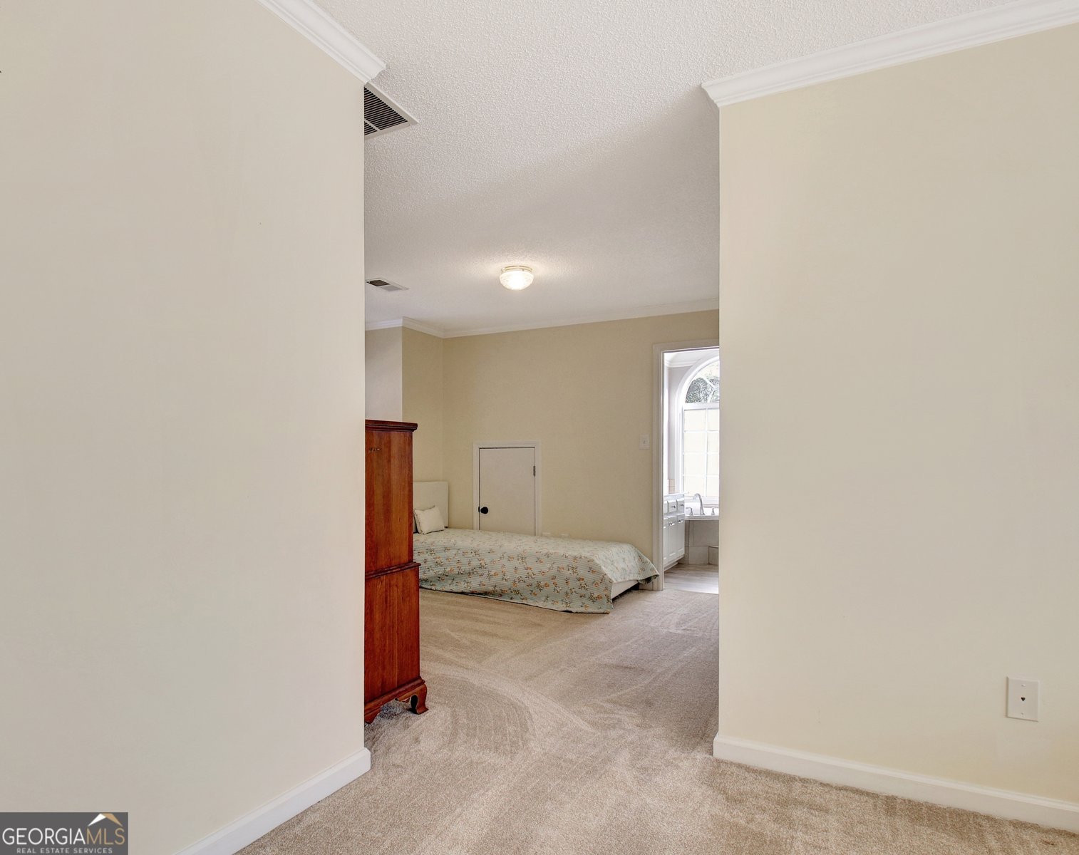 345 Gaelic Way Tyrone - Photo 50