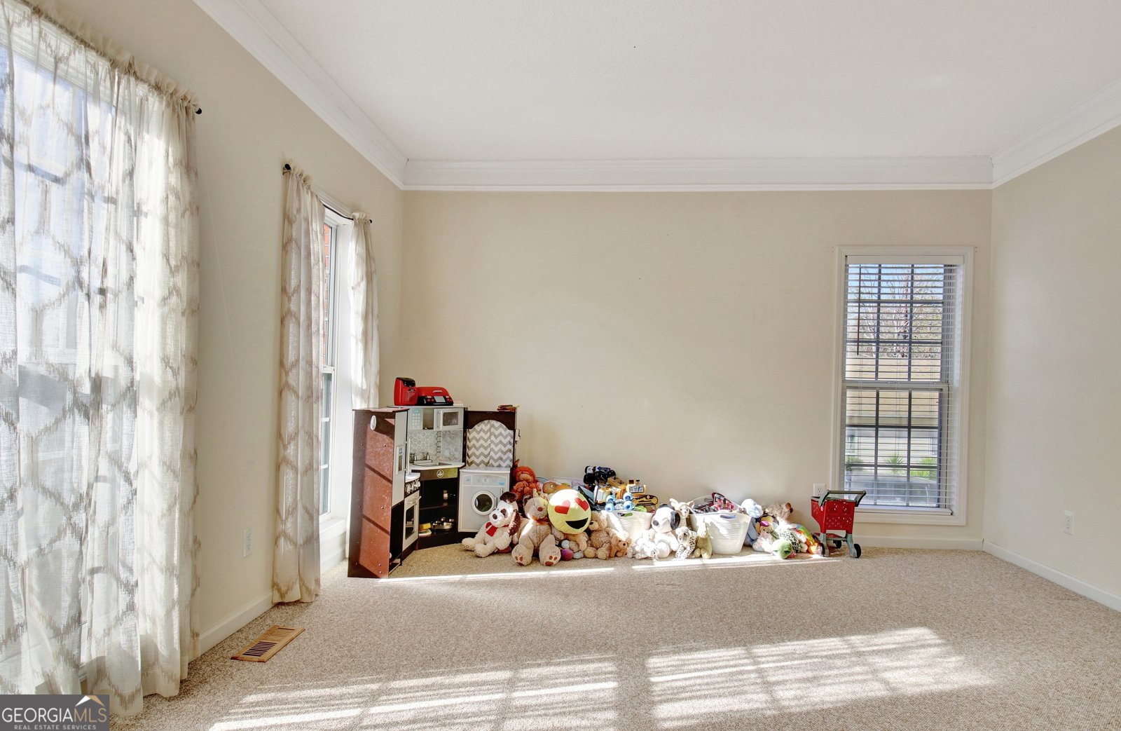 345 Gaelic Way Tyrone - Photo 9