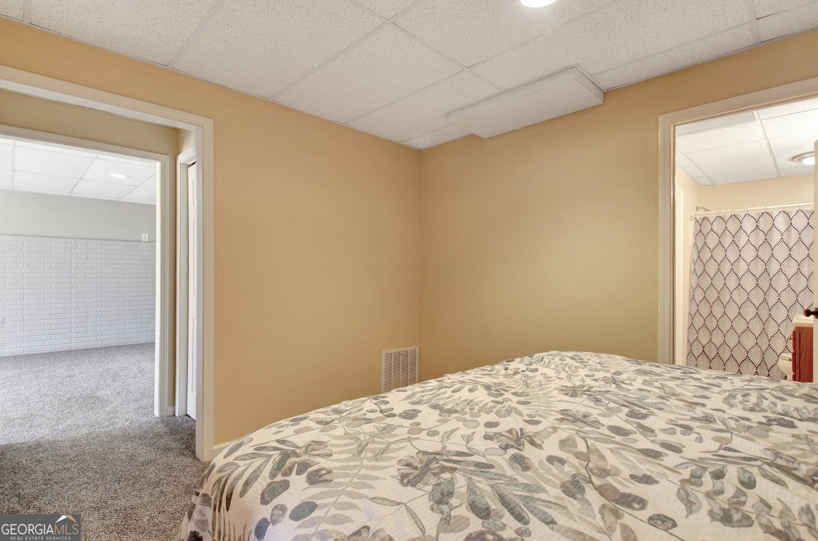 345 Gaelic Way Tyrone - Photo 92