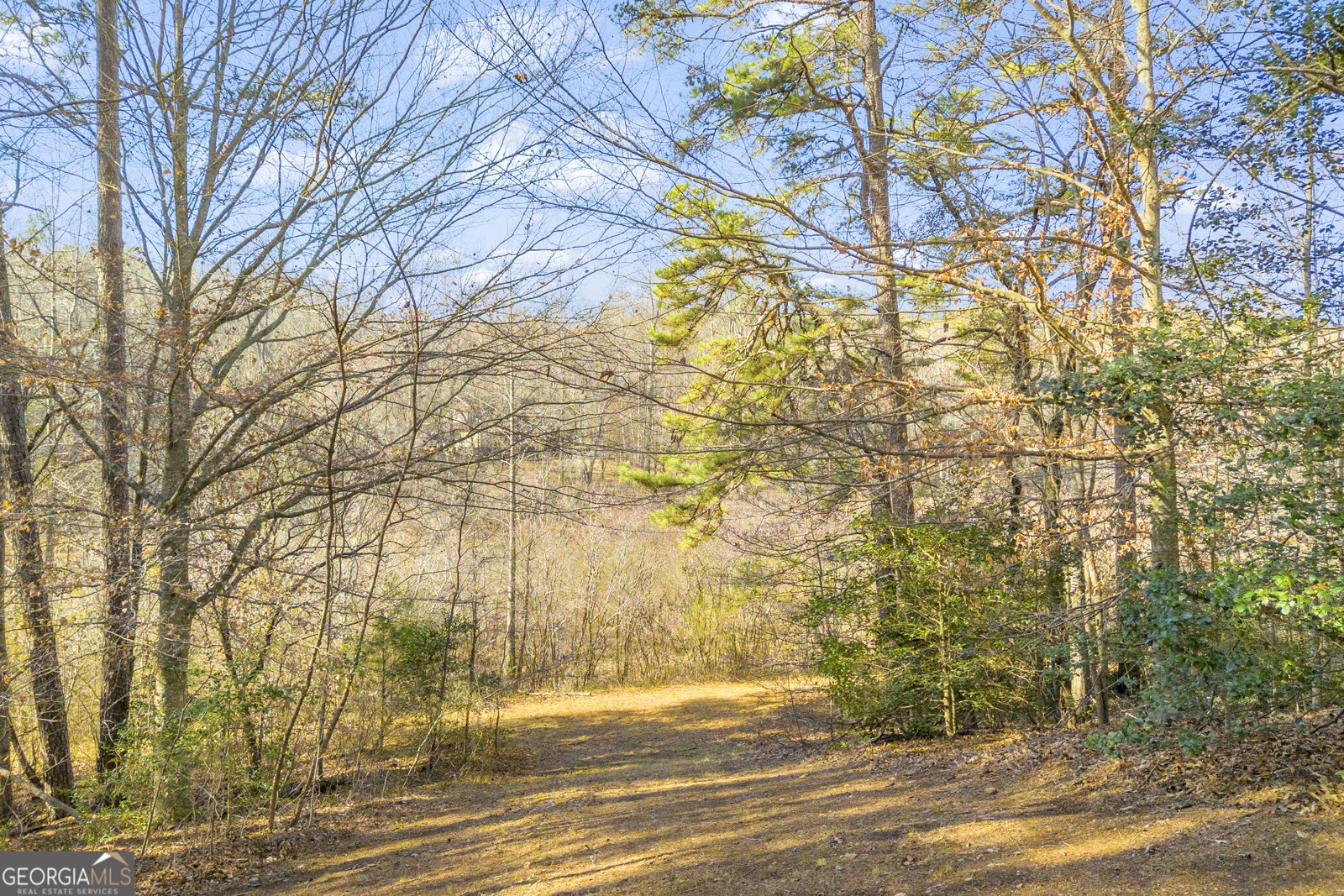 601 Beaver Lake Drive Clarkesville - Photo 28