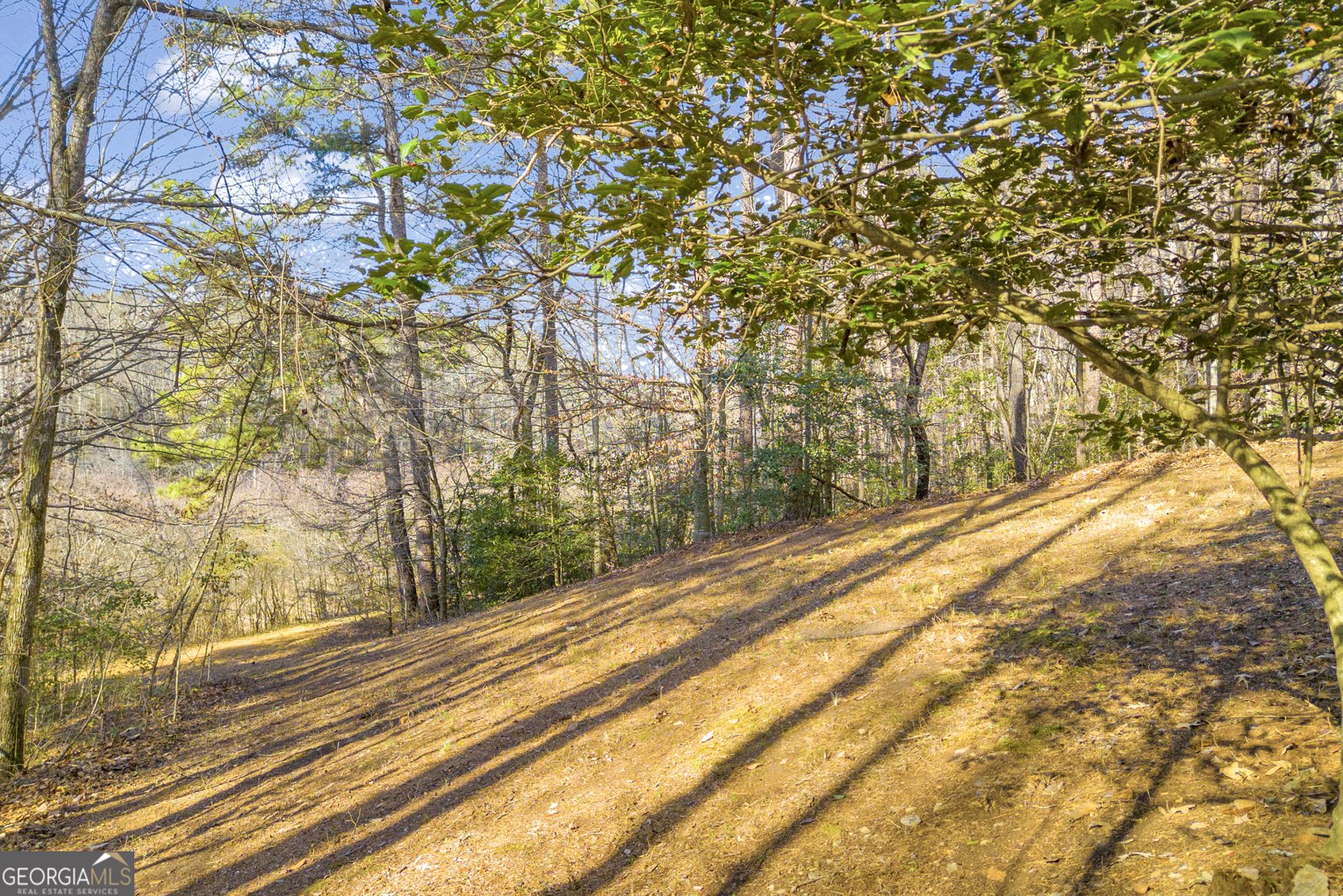 601 Beaver Lake Drive Clarkesville - Photo 29