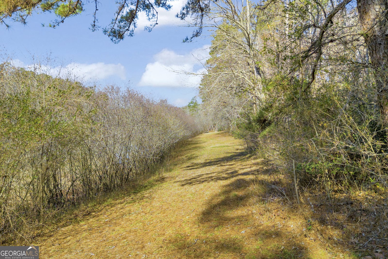 601 Beaver Lake Drive Clarkesville - Photo 30