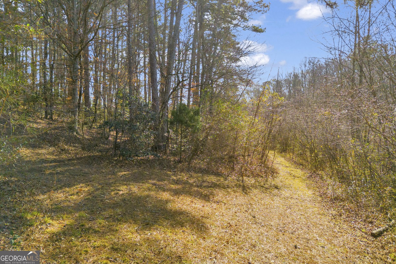 601 Beaver Lake Drive Clarkesville - Photo 31