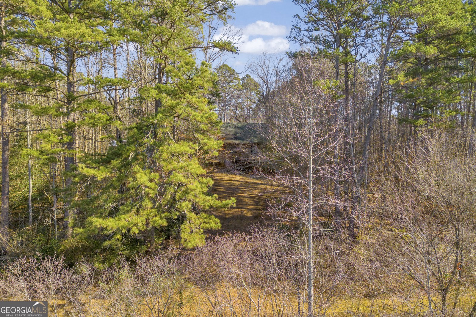 601 Beaver Lake Drive Clarkesville - Photo 33