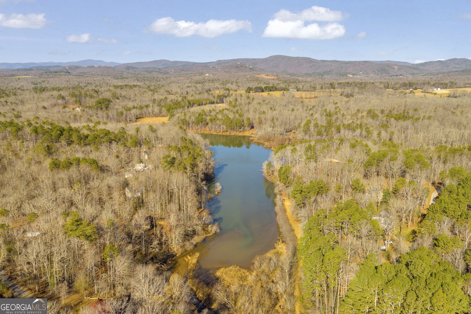 601 Beaver Lake Drive Clarkesville - Photo 35