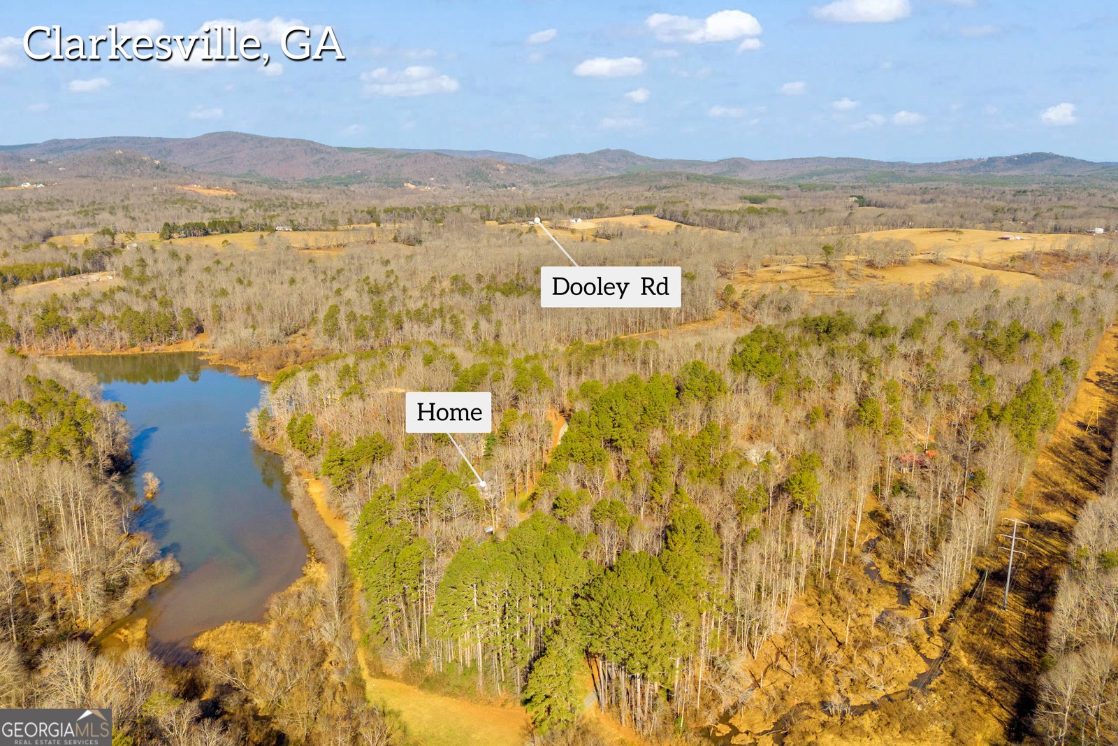 601 Beaver Lake Drive Clarkesville - Photo 42