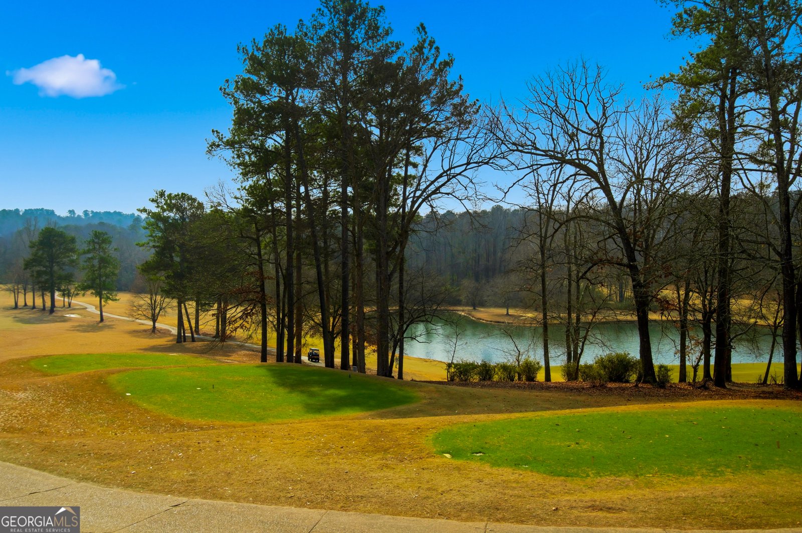 4400 Oliver Lane Douglasville - Photo 59