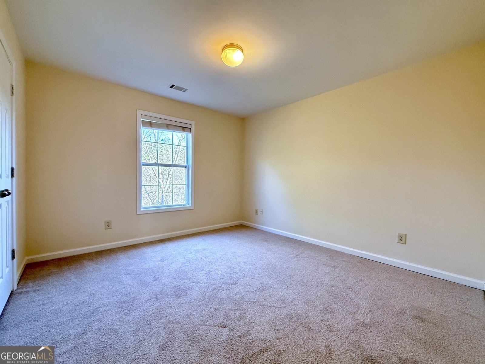 6205 Mulberry Park Drive Braselton - Photo 38