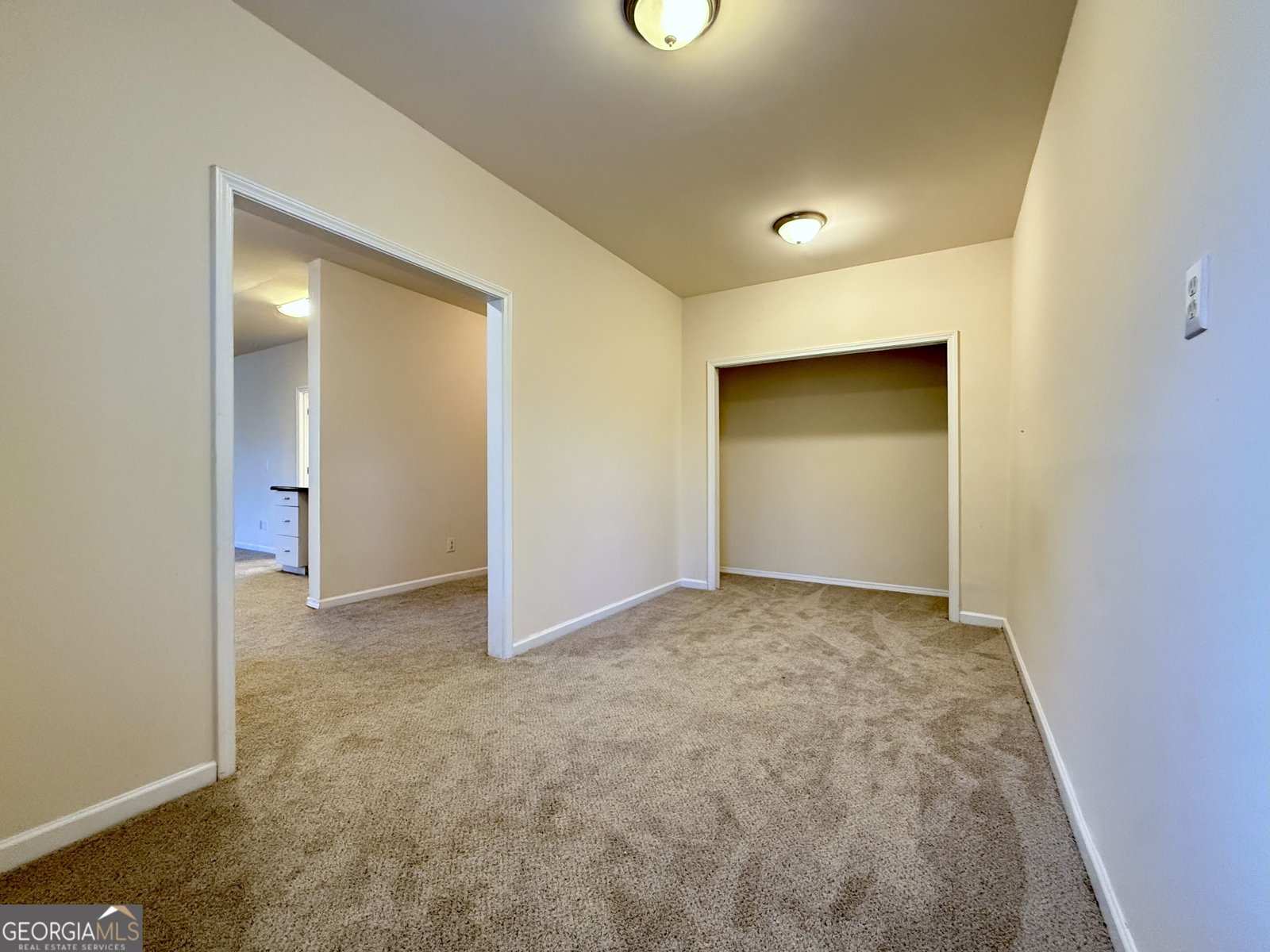 6205 Mulberry Park Drive Braselton - Photo 46