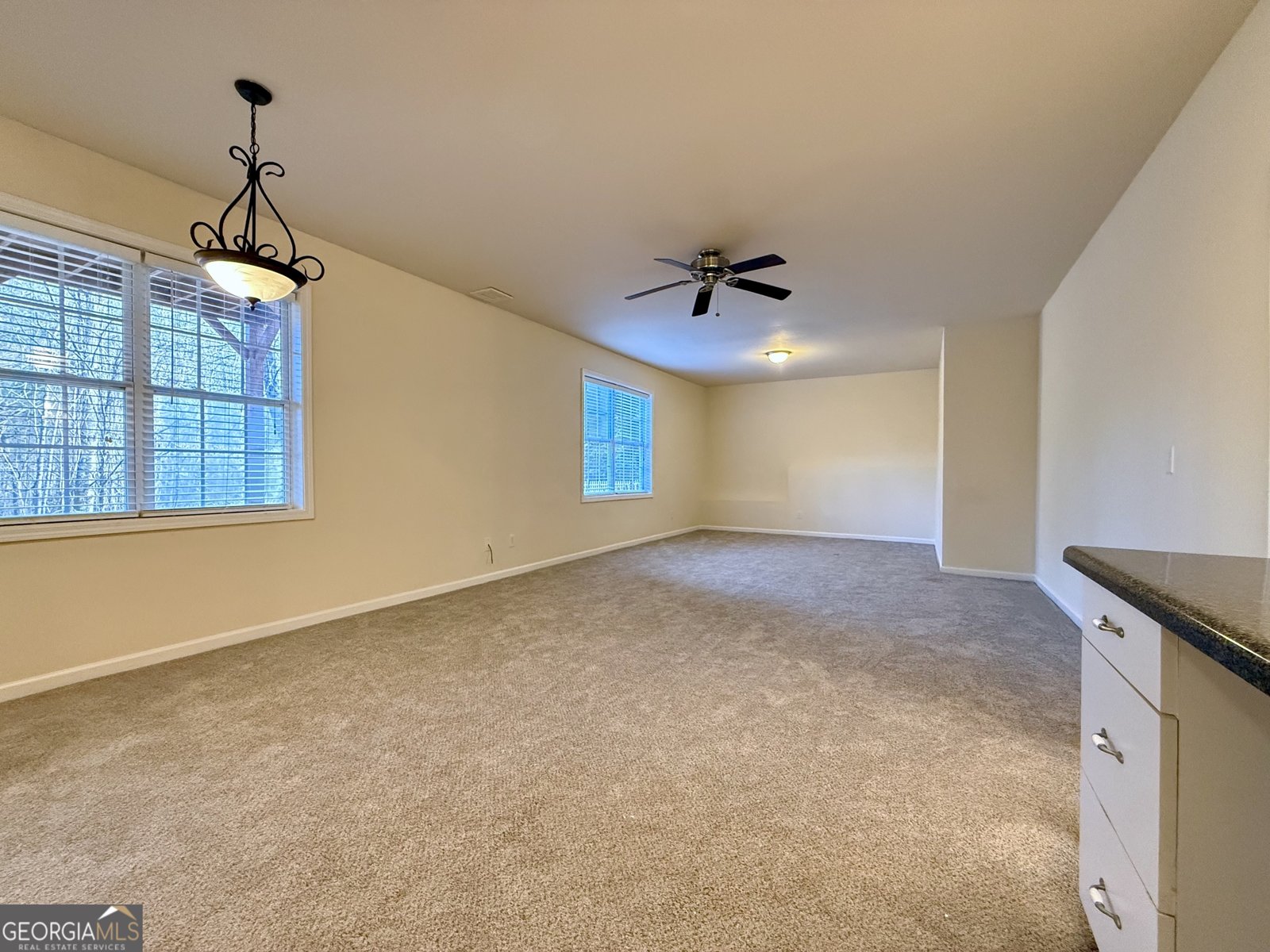 6205 Mulberry Park Drive Braselton - Photo 47