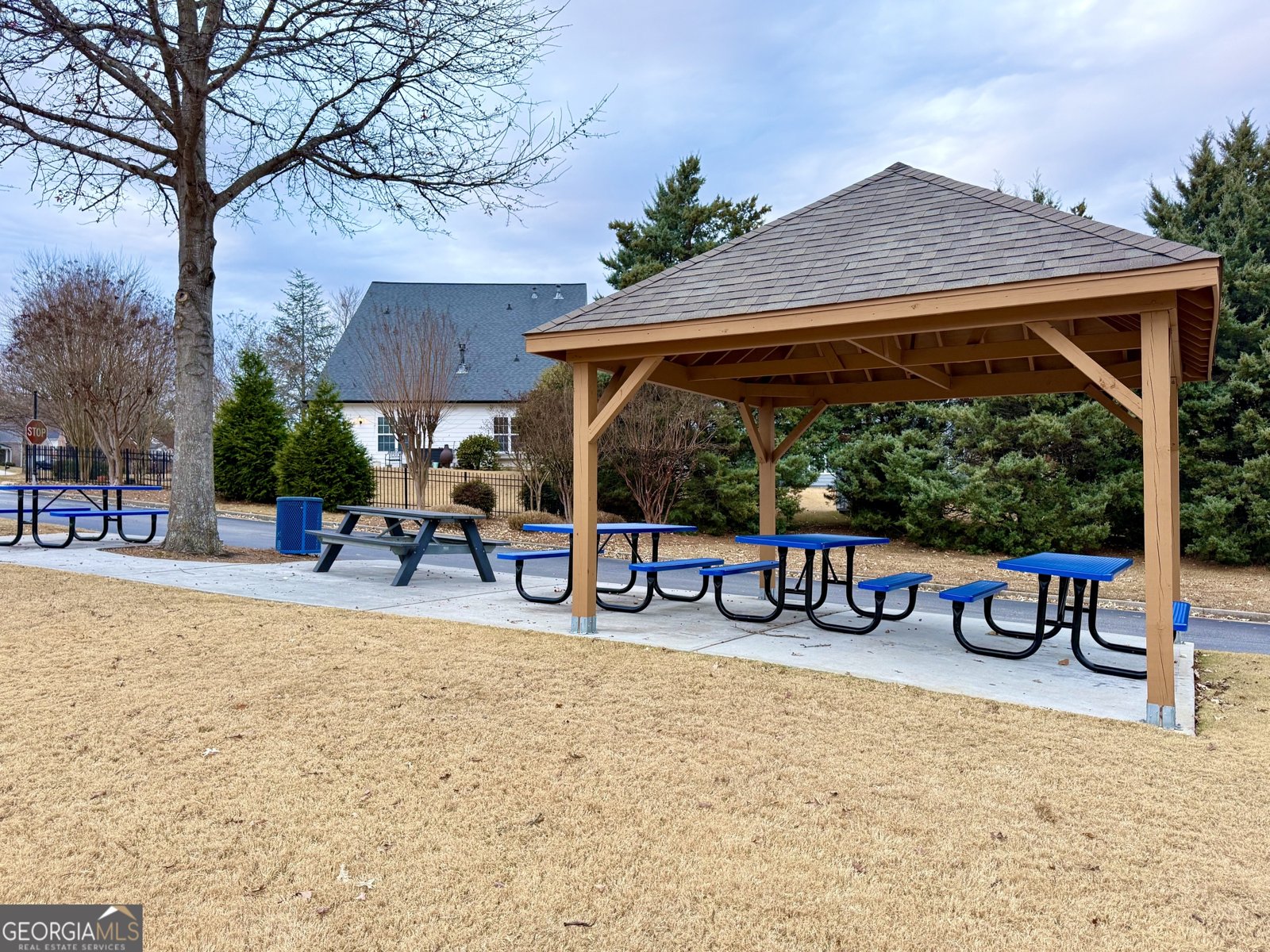 6205 Mulberry Park Drive Braselton - Photo 61