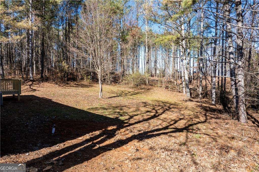 668 Long Road Ranger - Photo 31