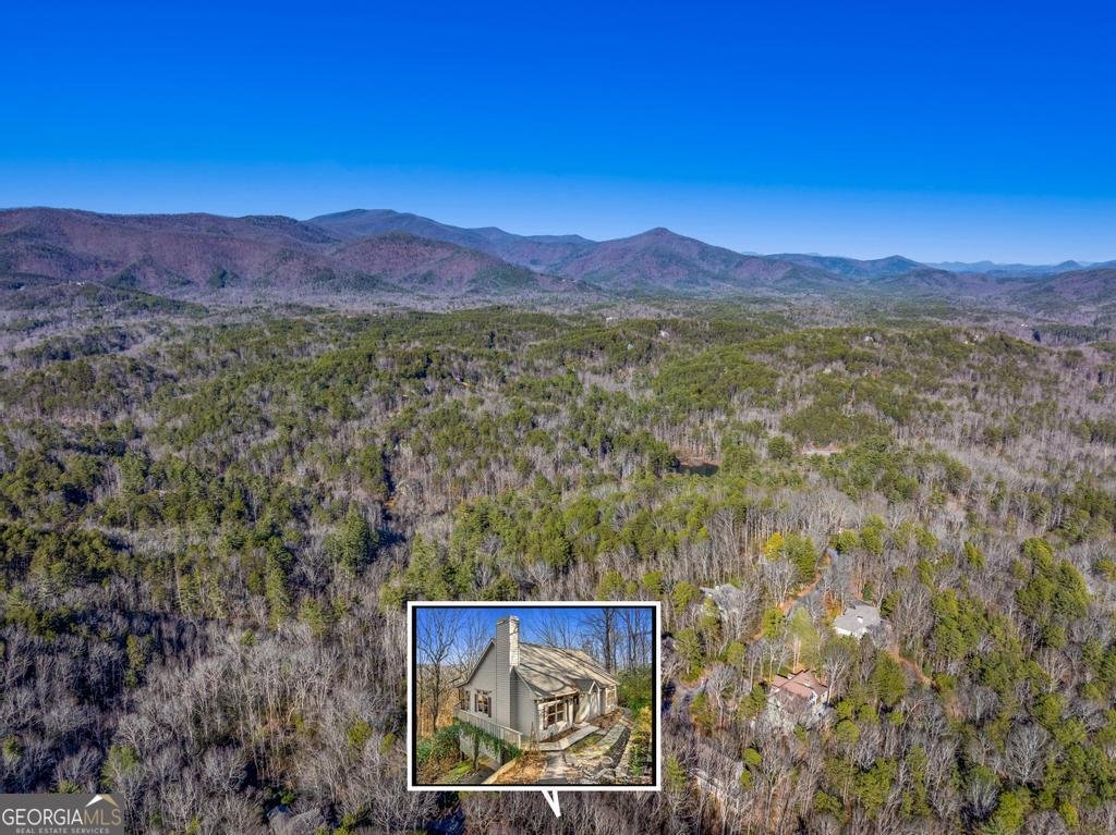 1447 Blue Ridge Drive Sautee Nacoochee - Photo 43