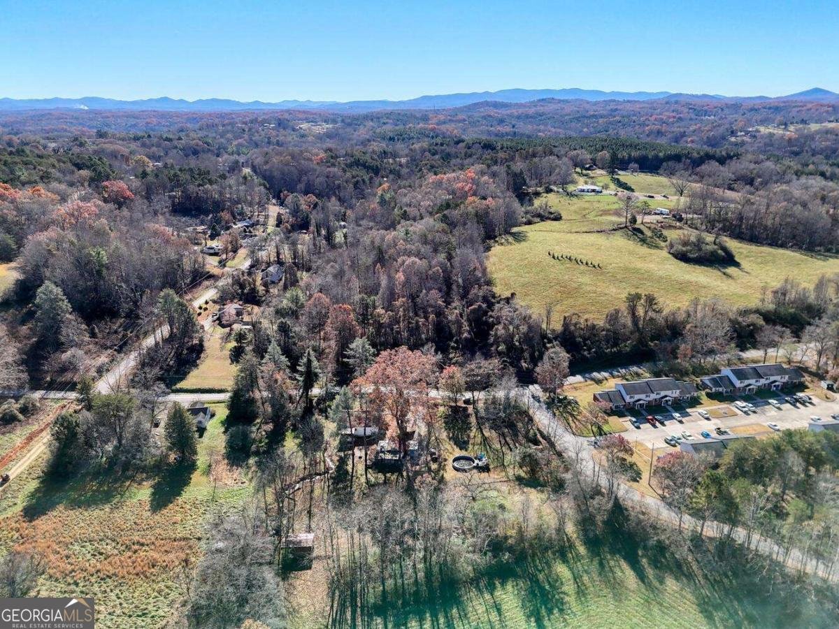 760 Kingtown Street Blue Ridge - Photo 46