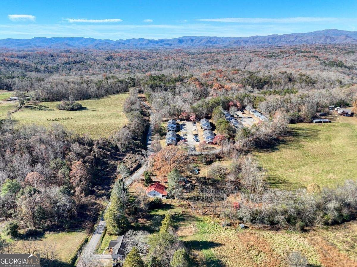 760 Kingtown Street Blue Ridge - Photo 47