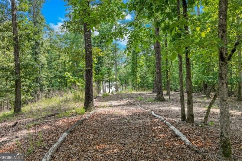 6226 Random Winds Bluff Gainesville - Photo 66