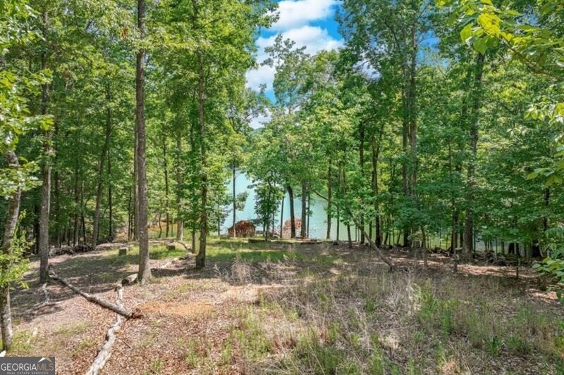 6226 Random Winds Bluff Gainesville - Photo 67