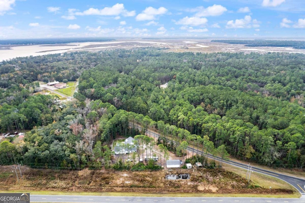 7079 Harrietts Bluff Road Woodbine - Photo 59