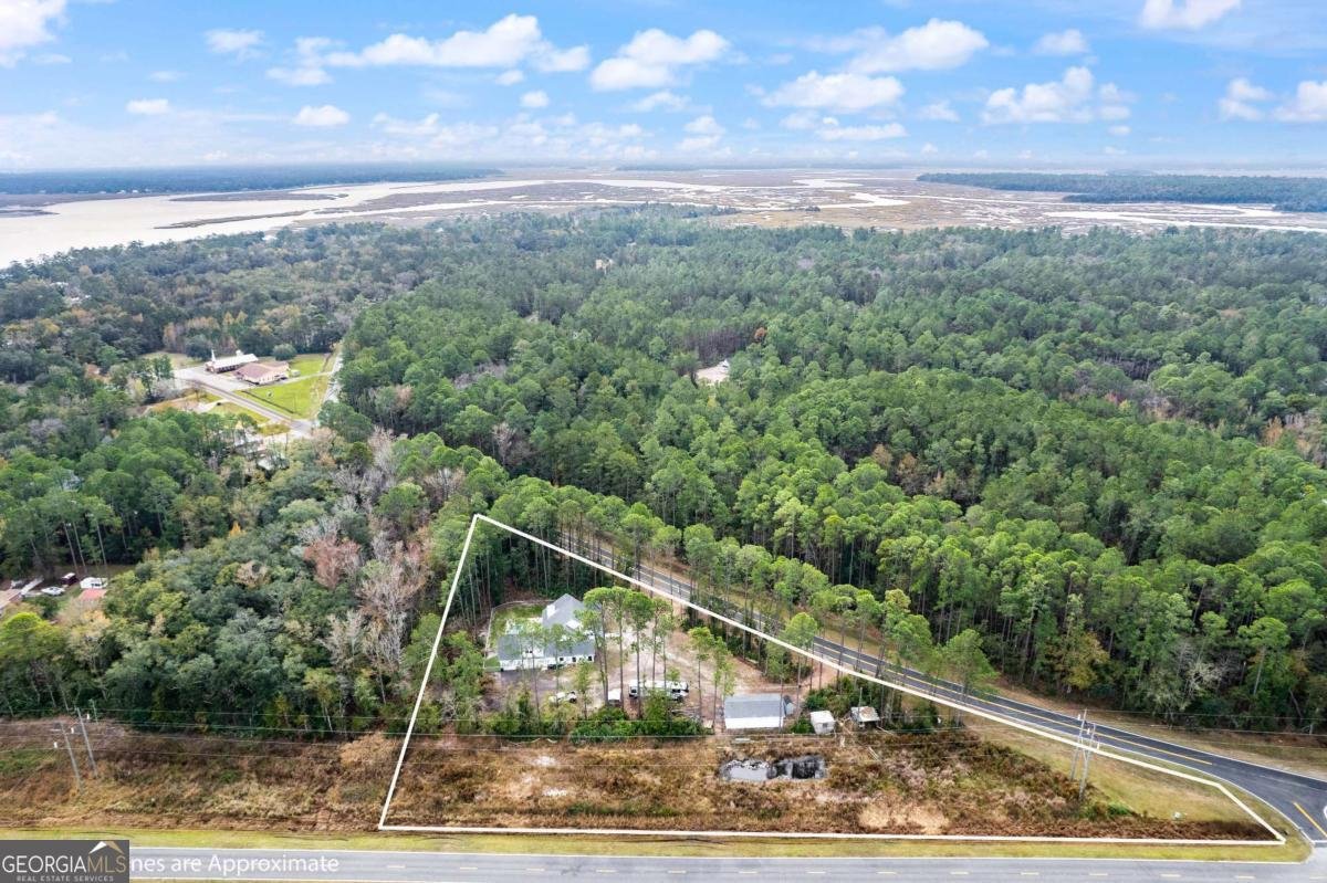 7079 Harrietts Bluff Road Woodbine - Photo 60