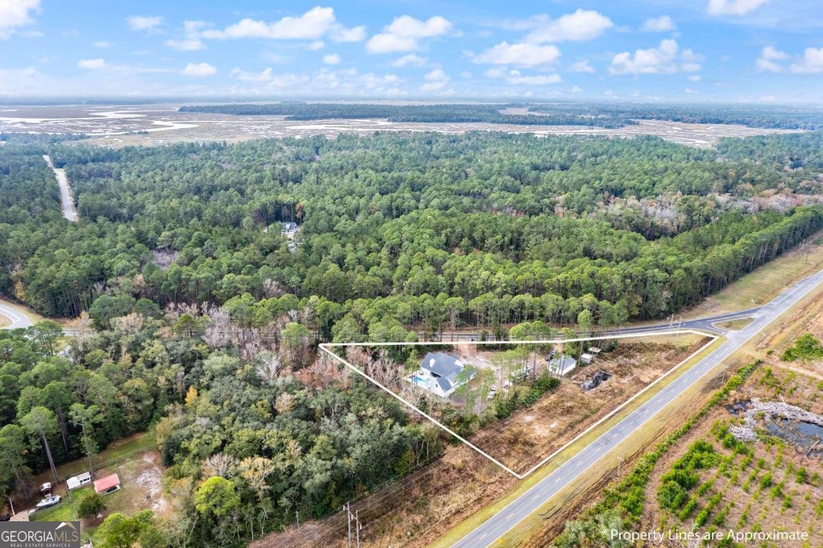 7079 Harrietts Bluff Road Woodbine - Photo 62