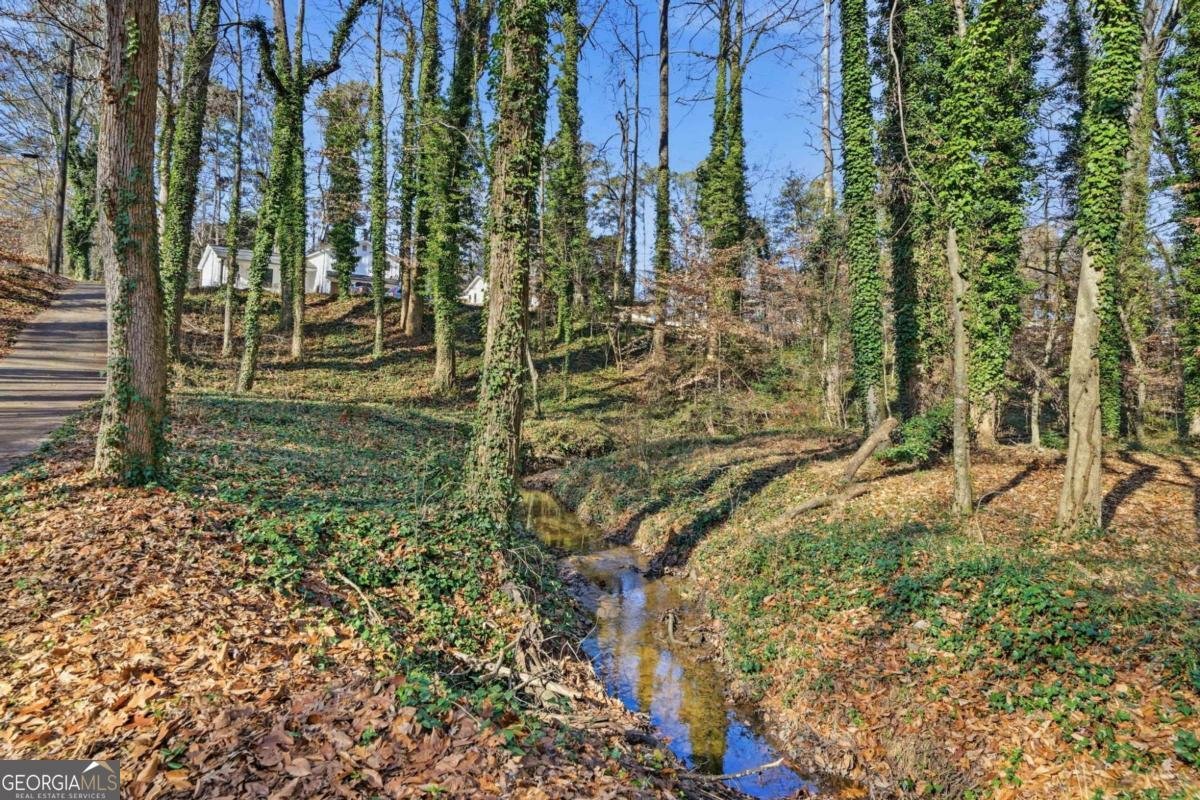 111 John Christopher Drive Alpharetta - Photo 29